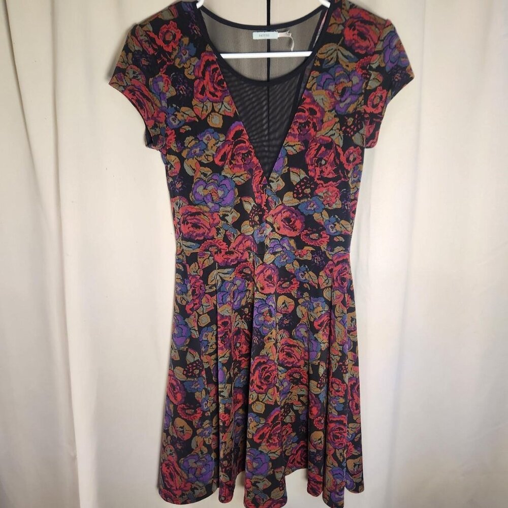 Kimchi Blue Floral Deep V Sheer Skater Dress